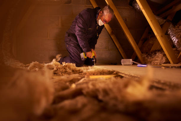 Best Insulation Maintenance and Repair in Tullahoma, TN